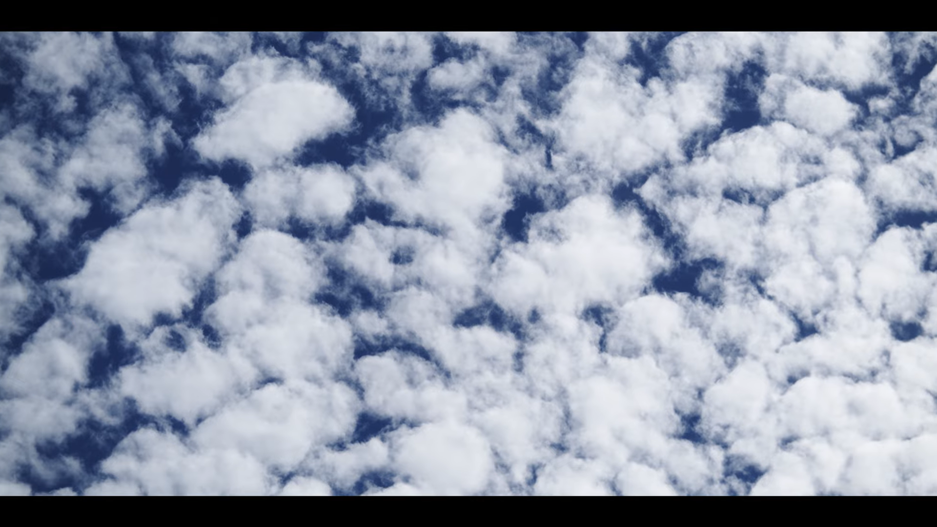In Reverie: The Vast Expanse
