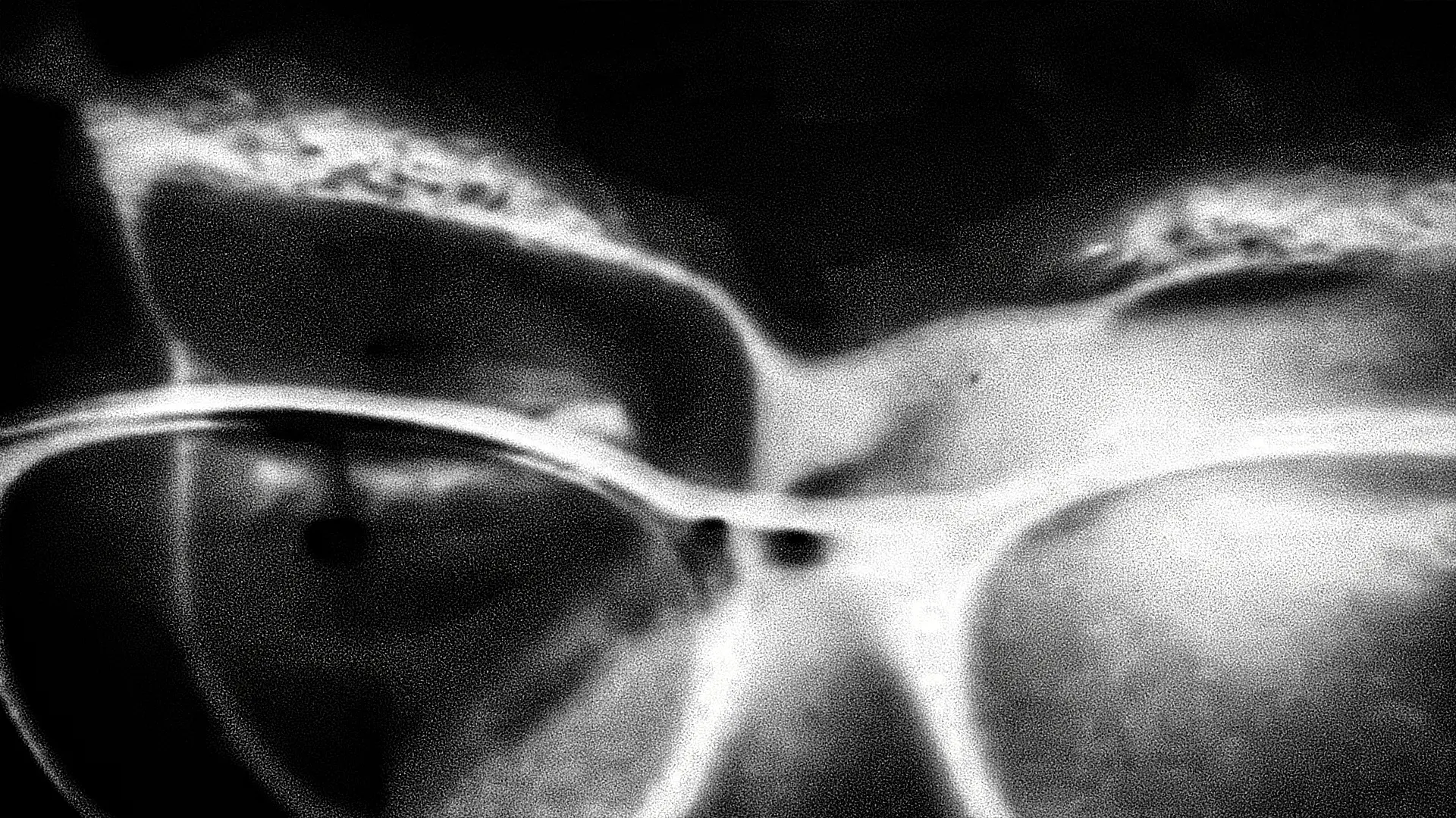 Self-Portrait (2026)