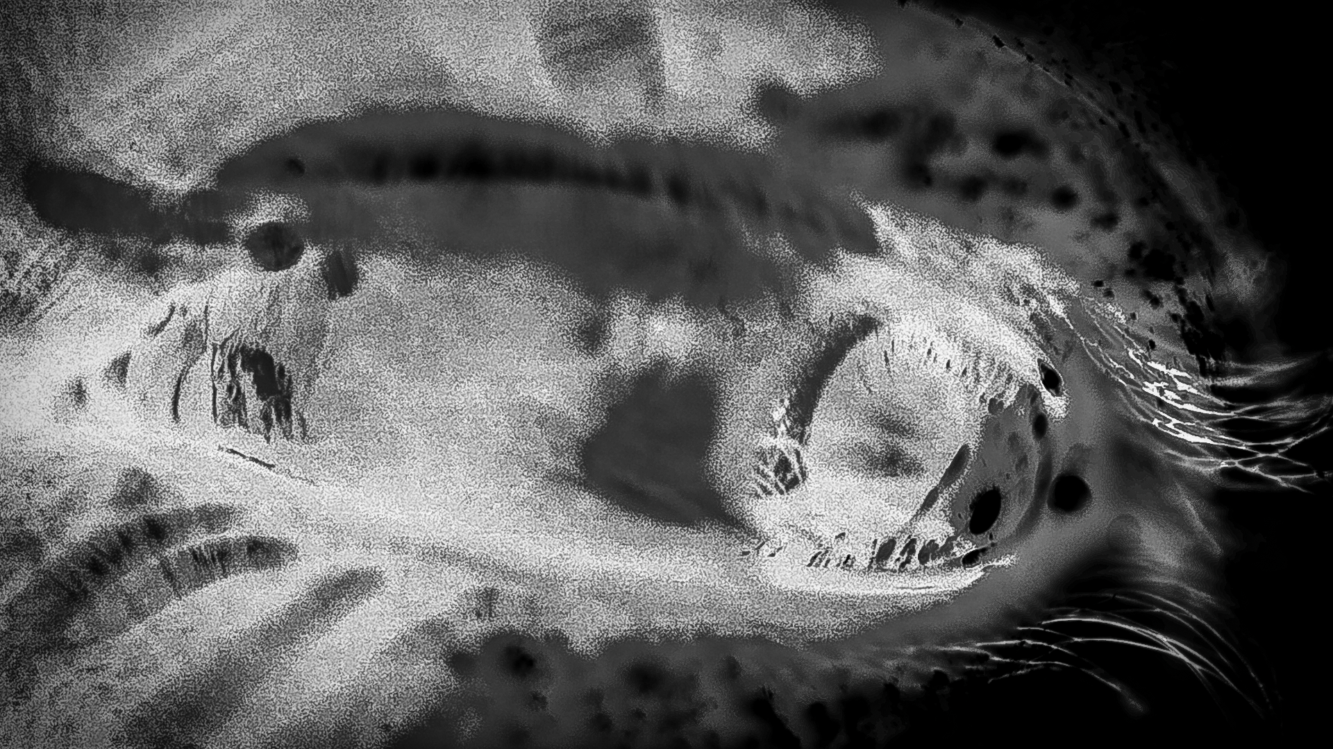 Self-Portrait (2026)